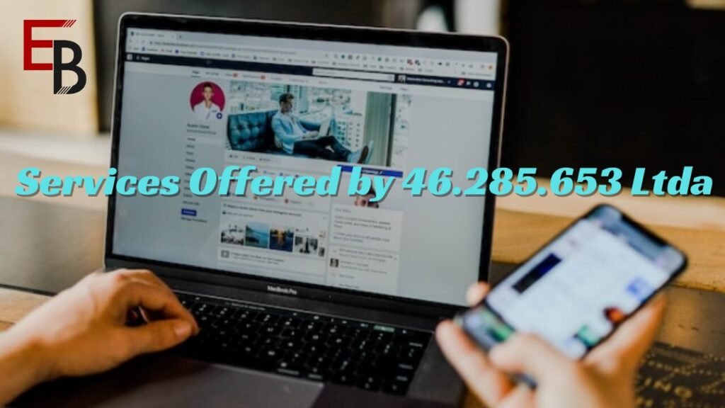 What Services Offered by 46.285.653 Ltda?