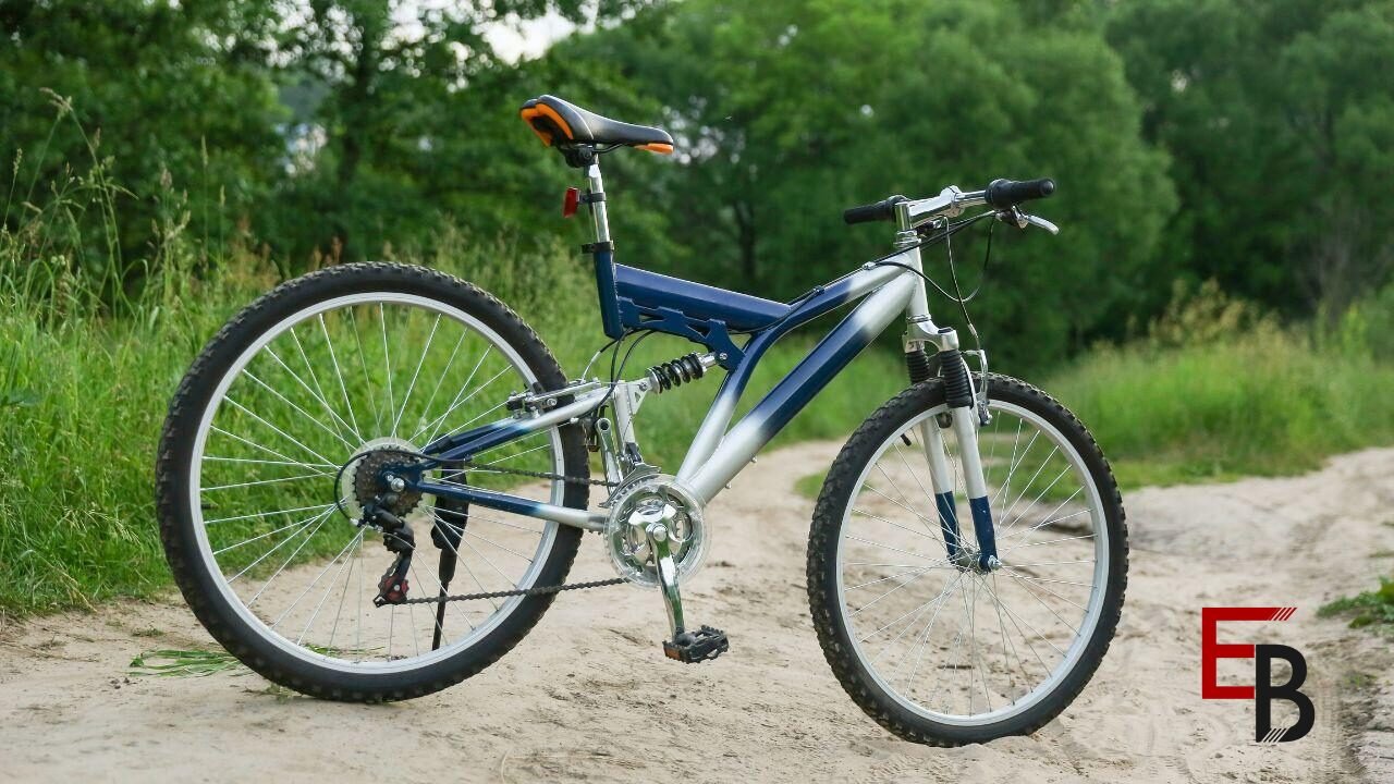 Electric bikes