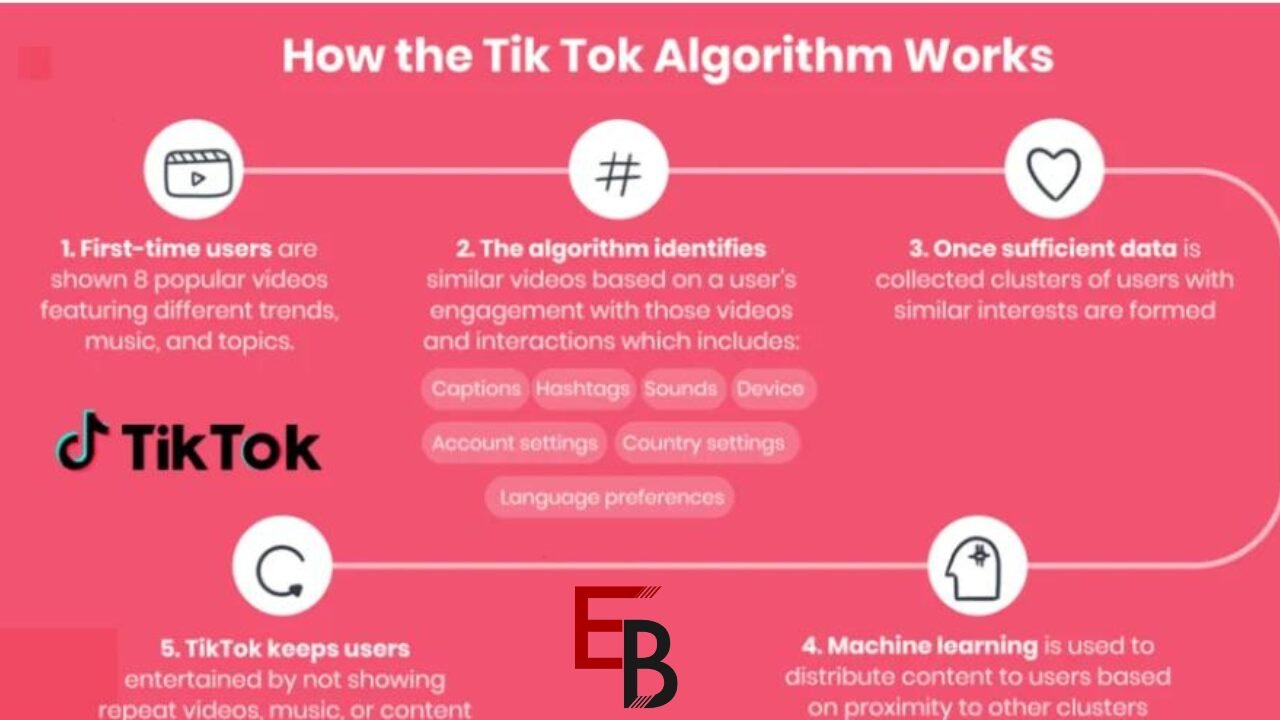 TikTok's